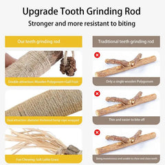 Cat Toys Silvervine Chew Stick Pet Snacks Sticks Natural Stuff With Catnip For Kitten Cats Cleaning Teeth Cat Accessories