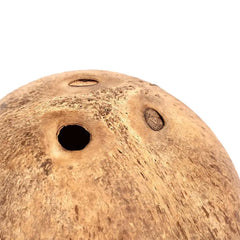 Hamster House Bite-resistant Natural Small Pet Coconut Cages Guinea-pig Hamster Hideout House Toy Wooden House Pet Supplies