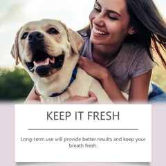 Pet Teeth Cleaning Pen Pet Dental Pen dog Toothbrush Pen Fresh Breath Tooth Whitening Cat Teeth Refreshing Pen pet supplies