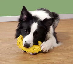 TPR Pet Dog Toys for Small Medium Dogs Bite-resistant Dog Chew Toys DogTeeth Cleaning Toys Pet Supplies