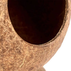 Hamster House Bite-resistant Natural Small Pet Coconut Cages Guinea-pig Hamster Hideout House Toy Wooden House Pet Supplies