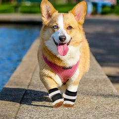 Small Dog Shoes Breathable Dog Mesh Shoes Paws Protectors Adjustable Sandals Anti-Slip Pet Apparel For Hot Days