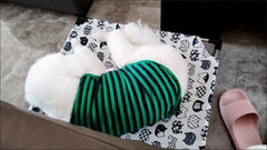 Portable Elevated Dog Bed Outdoor Pet Bed Summer Cat Bed Pet Camping Removable Washable Small Pet Hammock Outdoor Dog Bed