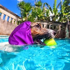 Dog Ear Protection Bathing Cap Pet Ear Protection Bath Wrap Hat Polyester Material Dog Shower Cap For Swimming Daily Bathing And