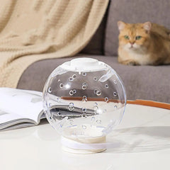 Cat Muzzle Cat Grooming Masque Clear Cat Adjustable Hood Pet Grooming Cover Accessory Prevent from Cats Biting Chewing
