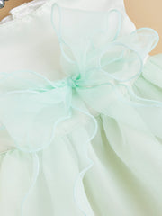 Pet Clothes Dog Wedding Dress Prom Party Princess Dresses for Small Dogs Luxury Dog Clothes Puppy Cat Costume White Pet Supplies