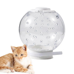 Cat Muzzle Cat Grooming Masque Clear Cat Adjustable Hood Pet Grooming Cover Accessory Prevent from Cats Biting Chewing