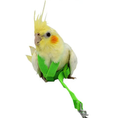 Pet Parrot Bird Harness And Leash Flying Rope Straps Outdoor Training Traction Rope For Budgerigar Cockatiel Supplies