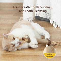 Cat Toys Silvervine Chew Stick Pet Snacks Sticks Natural Stuff With Catnip For Kitten Cats Cleaning Teeth Cat Accessories