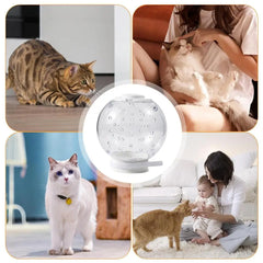 Cat Muzzle Cat Grooming Masque Clear Cat Adjustable Hood Pet Grooming Cover Accessory Prevent from Cats Biting Chewing