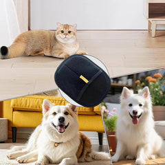 Pet Grooming Gloves Double Sided Pet Brush Gloves Static Dedusting Brush Pet Hair Remover Brush for Small Medium and Large Pets